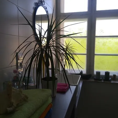 Lazy Spot Appartement